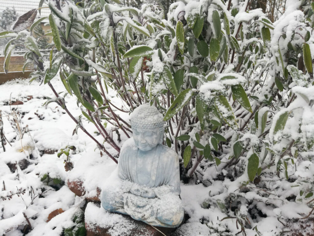 Buddhastatue im Schnee vor Busch